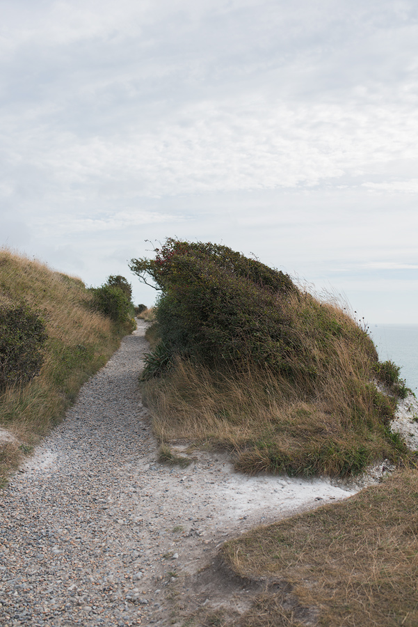 Dover