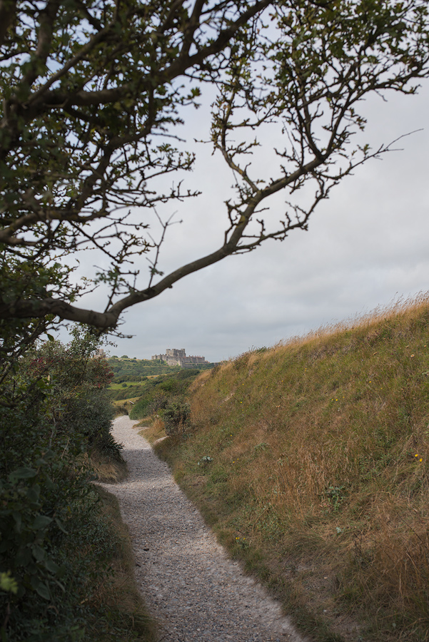 Dover