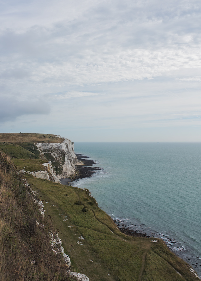 Dover