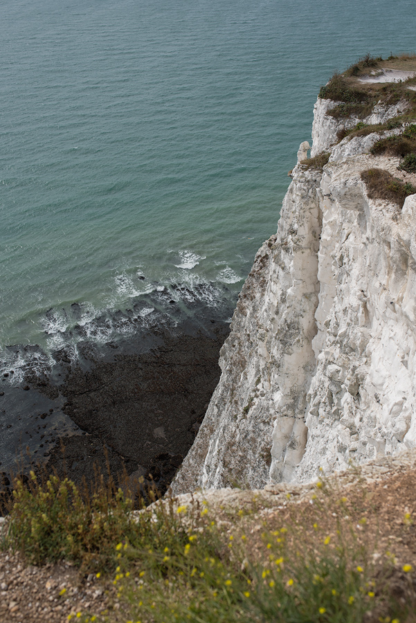 Dover