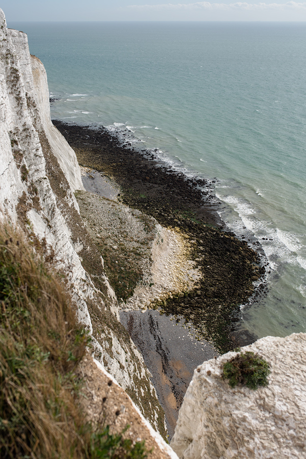 Dover