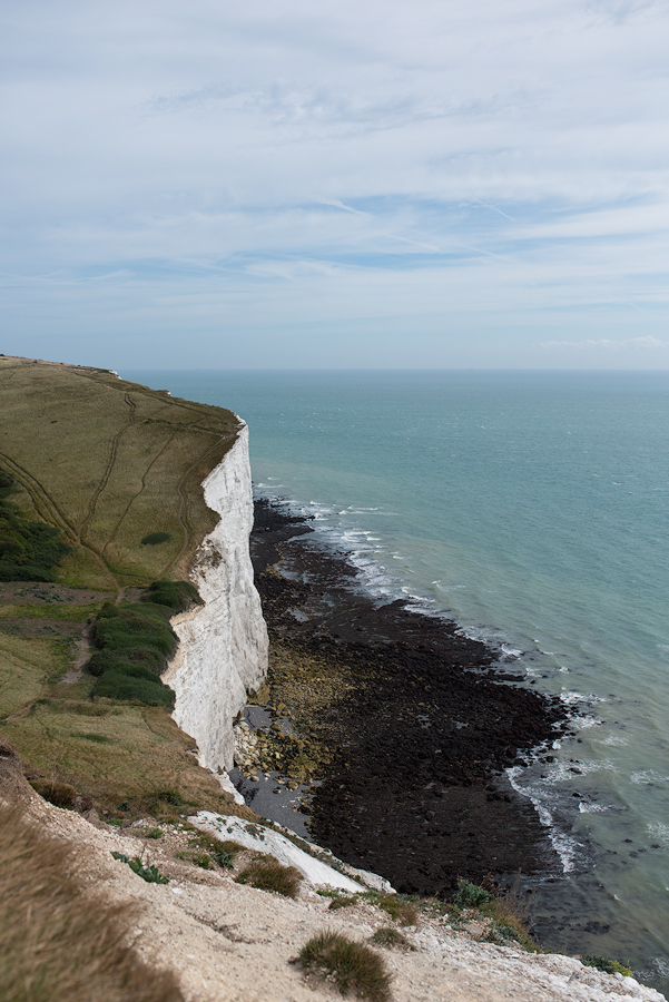 Dover