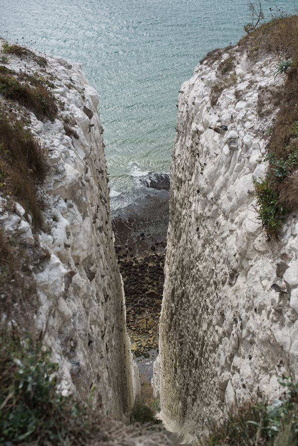 Dover