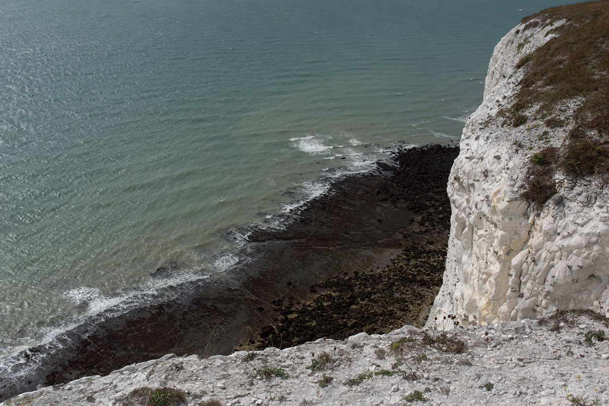 Dover