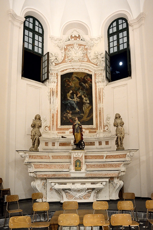 Cervo Santa Catarina