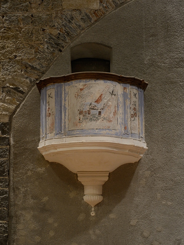 Cervo - Santa Catarina