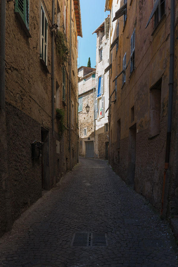 Moltedo