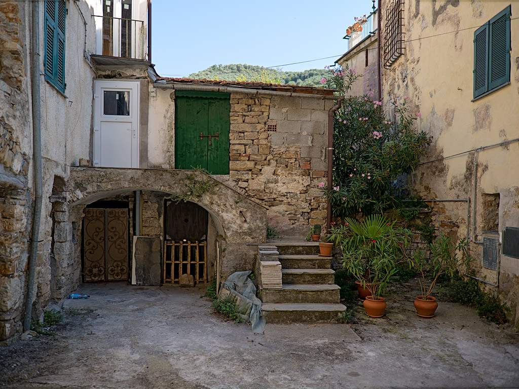 Moltedo