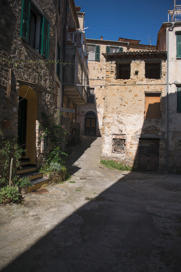 Moltedo