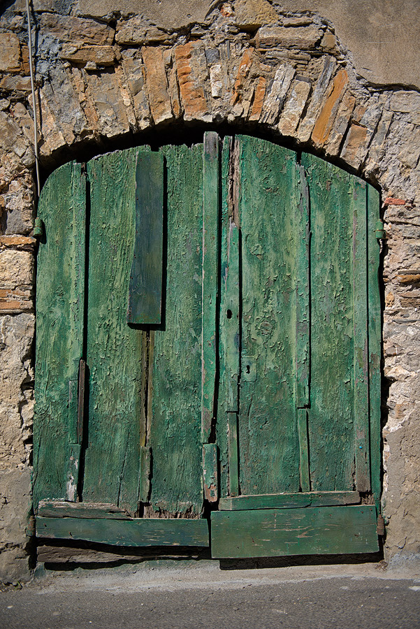 Moltedo