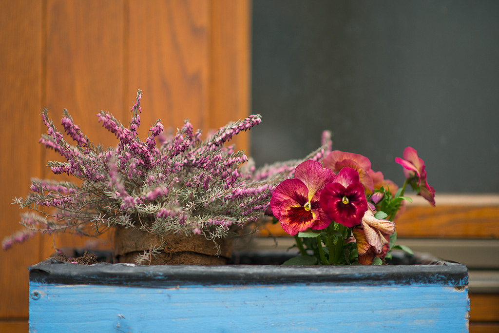 Fensterschmuck