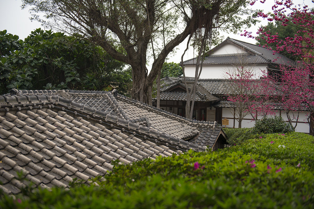 museum in beitou
