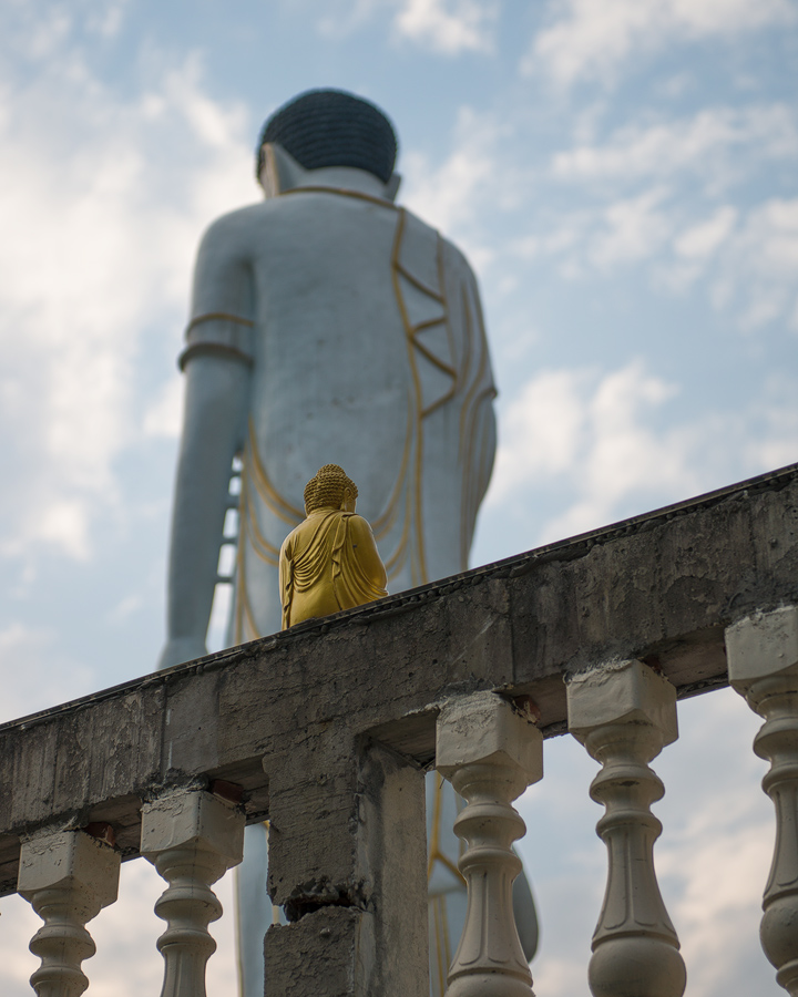 buddha