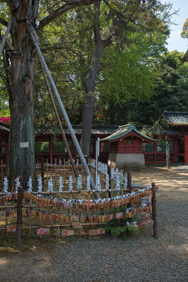 Nezu-Jinja