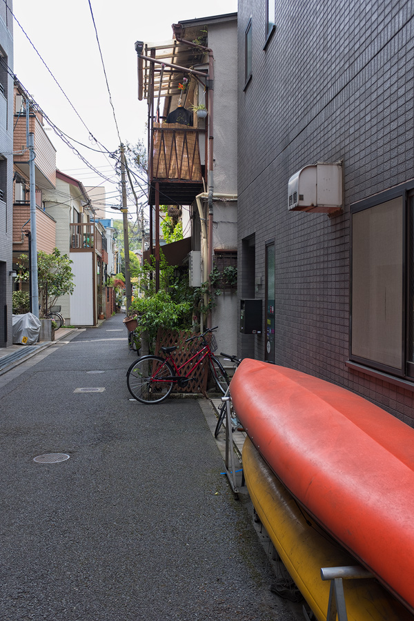Nezu