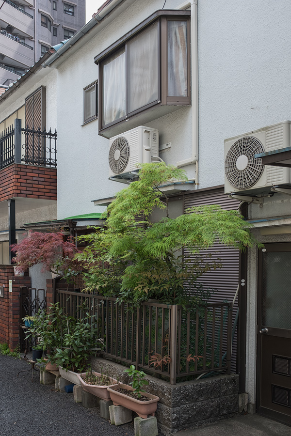 Nezu