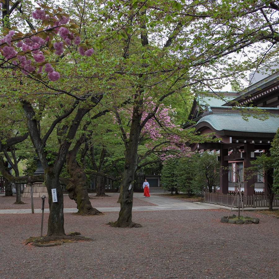 Yasukuni shrine
