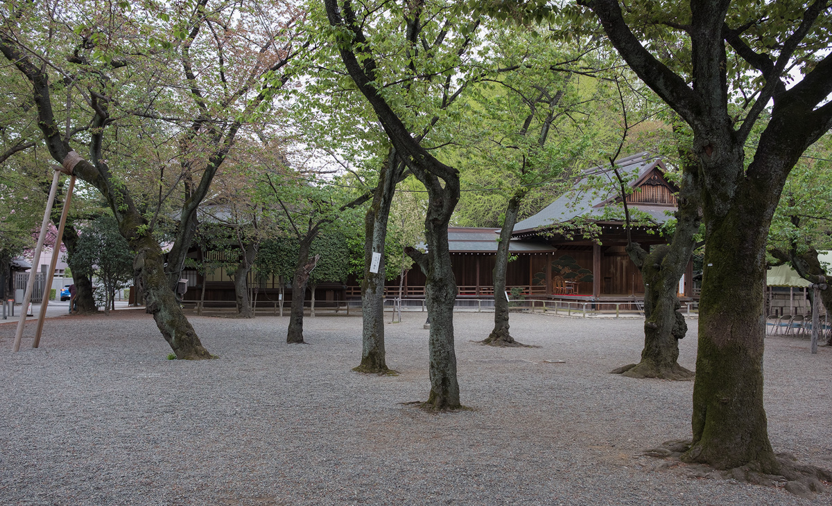 Yasukuni shrine