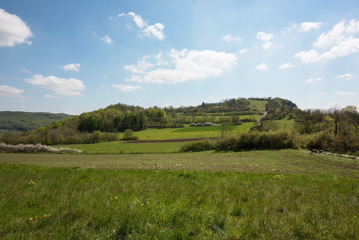Walberla016