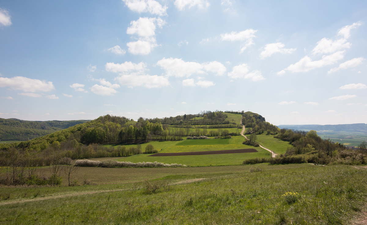 Walberla016