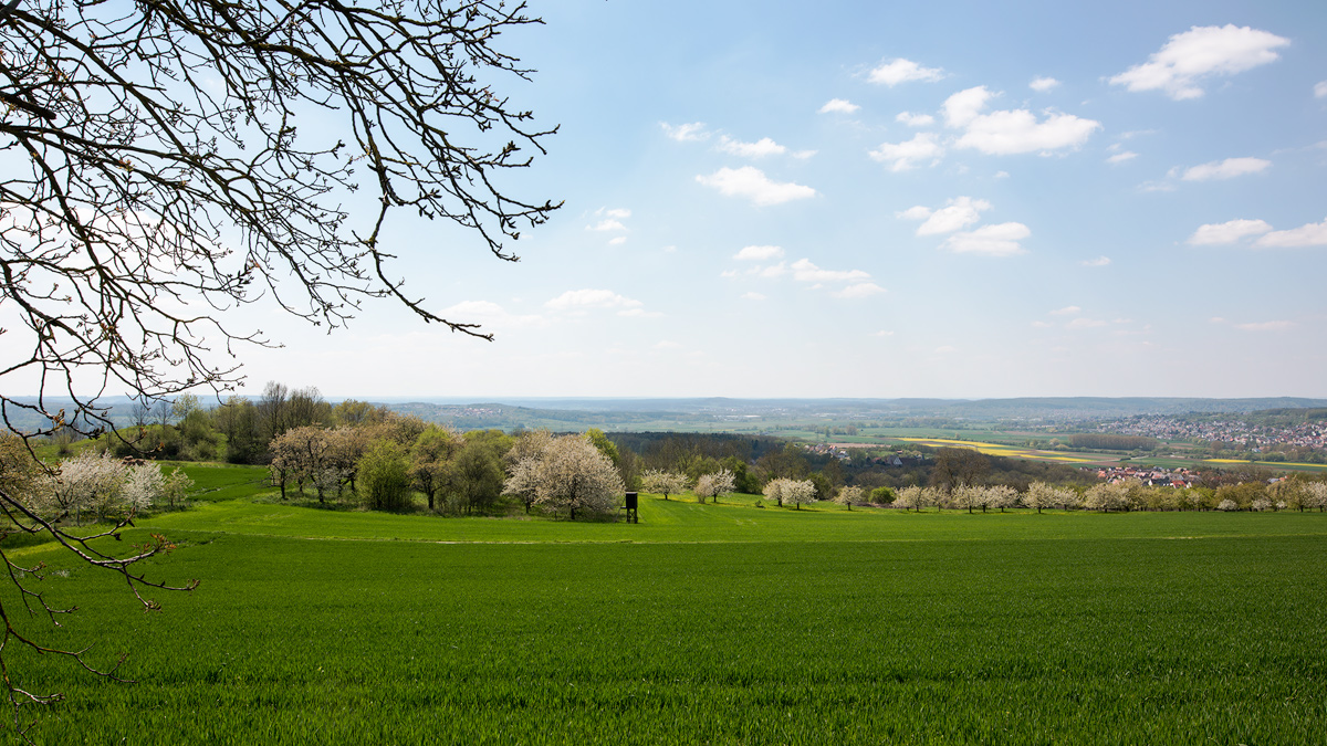 Am Walberla 2016