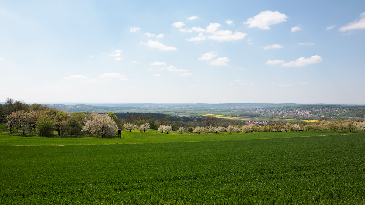 Am Walberla 2016