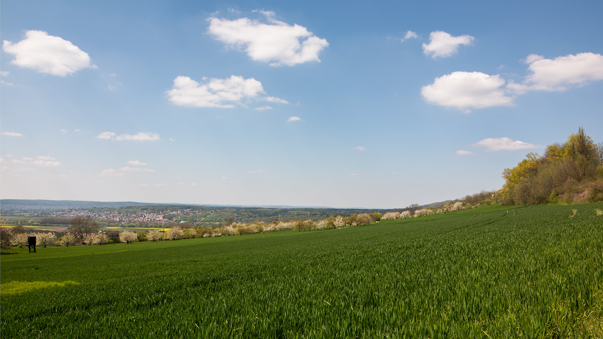 Am Walberla 2016