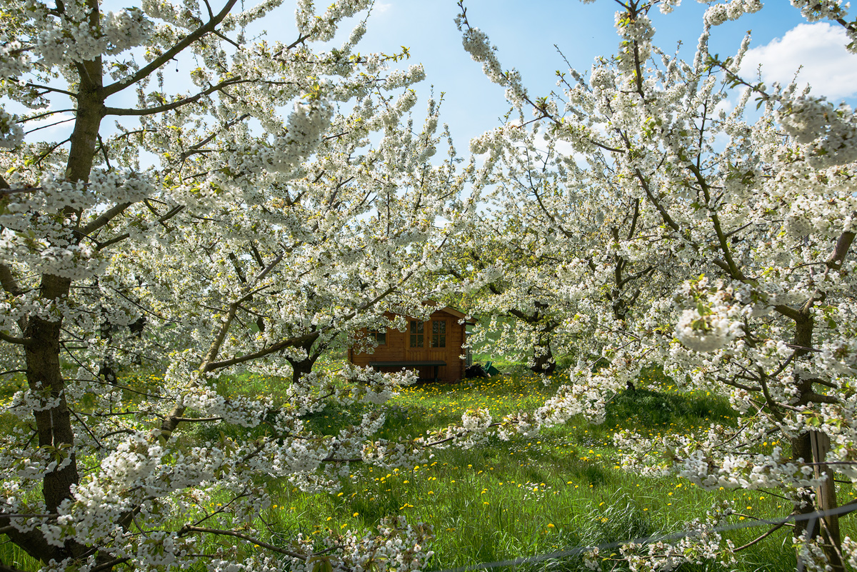 Am Walberla 2016
